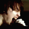 finchicon.gif